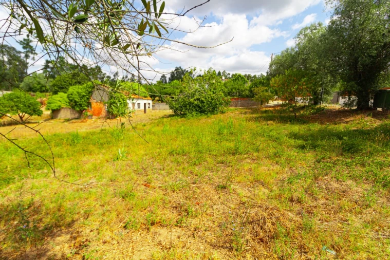 Terreno para Venda em Portunhos e Outil Foto 2