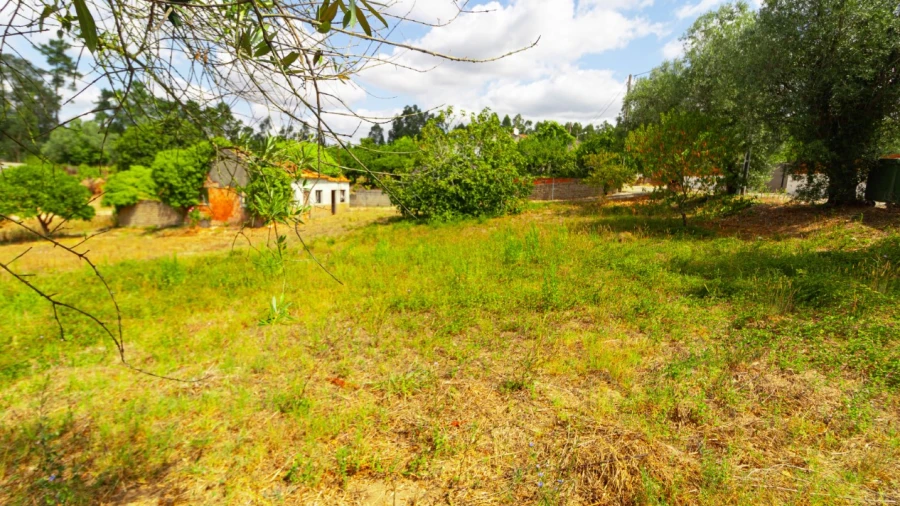Terreno para Venda em Portunhos e Outil