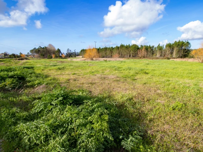 Terreno para Venda em Tocha Foto 3