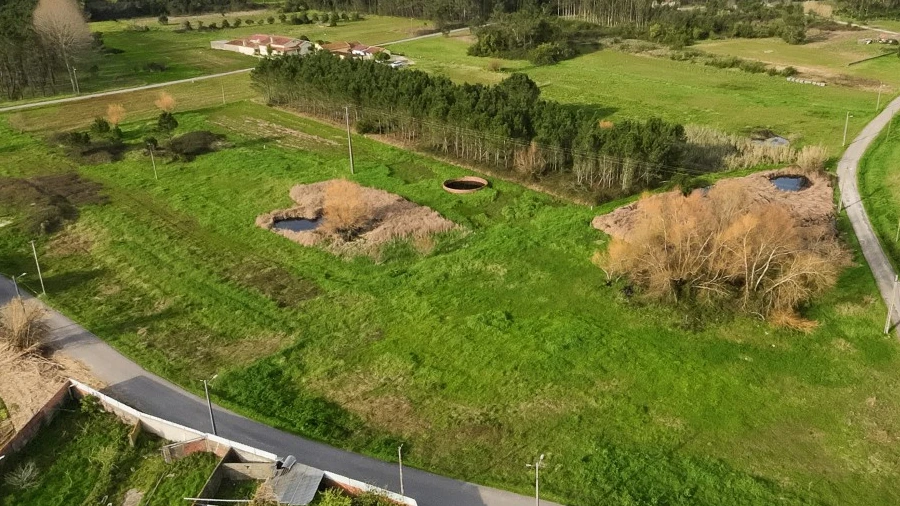 Terreno para Venda em Tocha