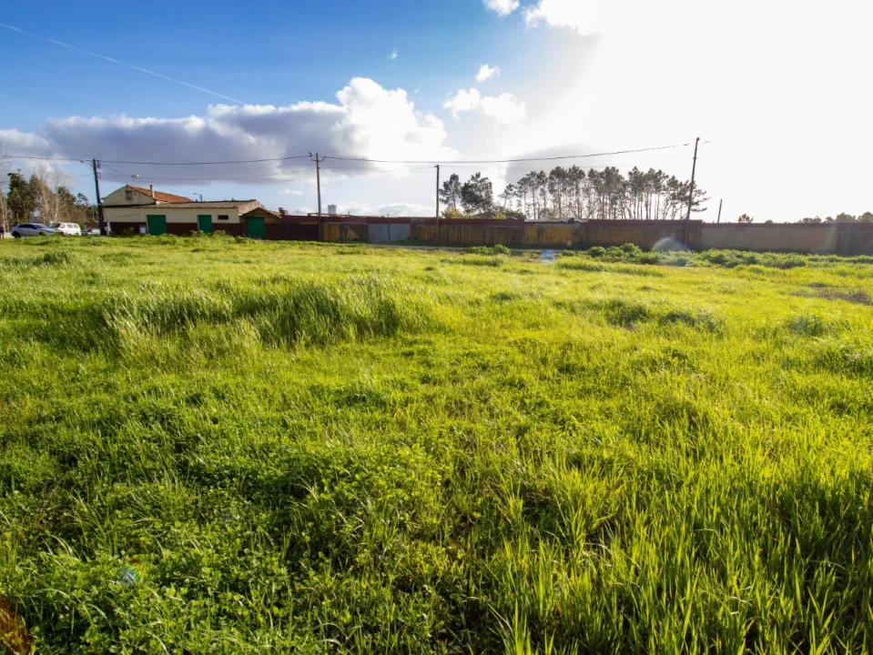 Terreno para Venda em Tocha Foto 5