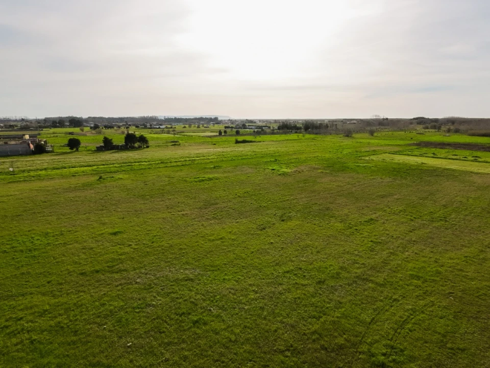 Terreno para Venda em Bom Sucesso Foto 12