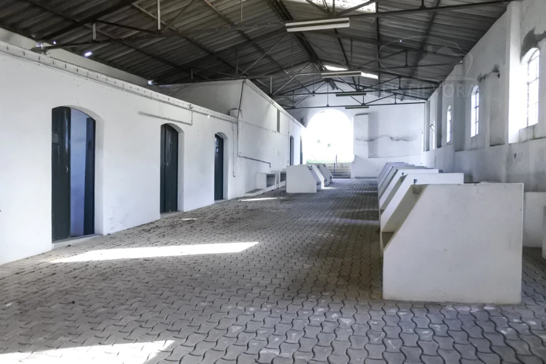 Terreno para Venda em Viana do Alentejo Foto 20