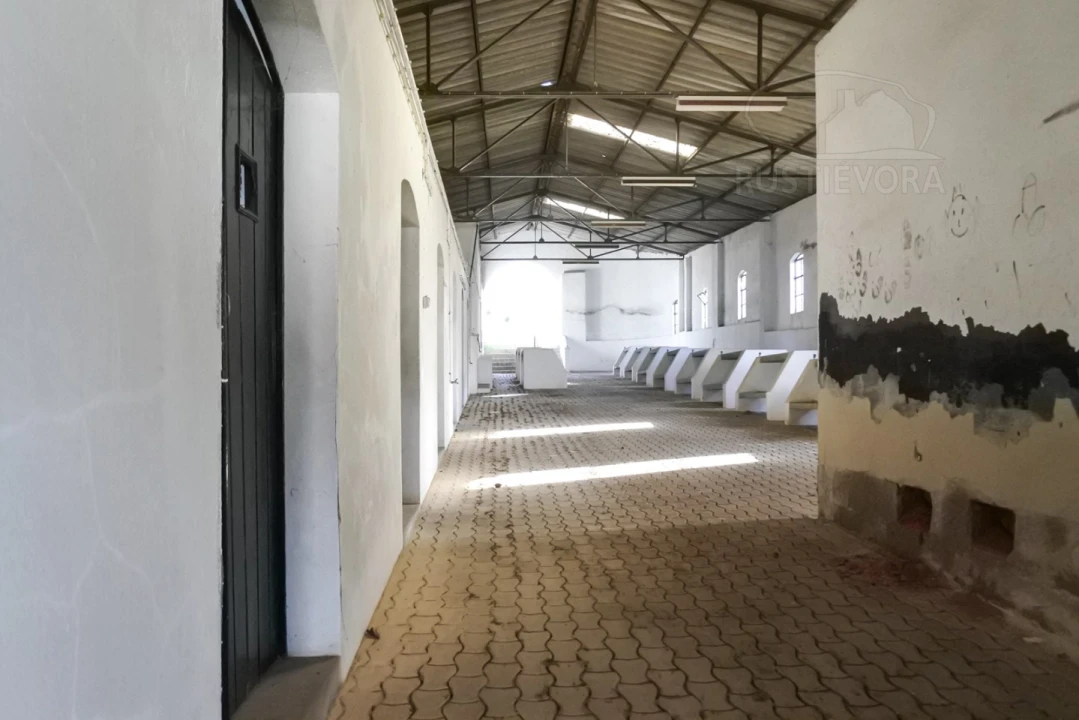 Terreno para Venda em Viana do Alentejo Foto 23