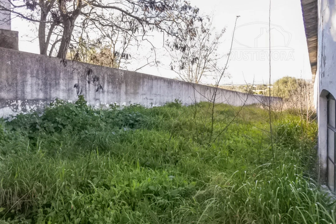Terreno para Venda em Viana do Alentejo Foto 33