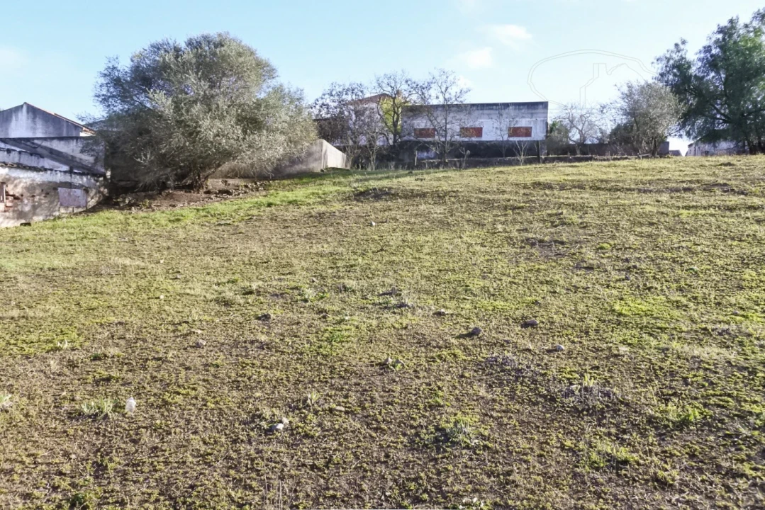 Terreno para Venda em Viana do Alentejo Foto 55