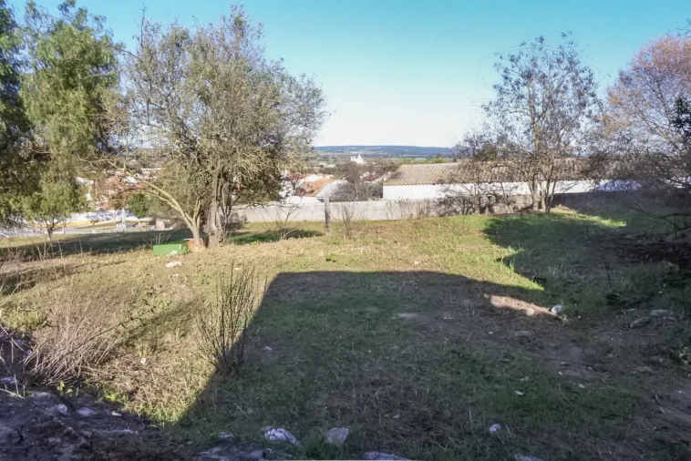 Terreno para Venda em Viana do Alentejo Foto 46