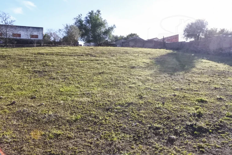 Terreno para Venda em Viana do Alentejo Foto 56