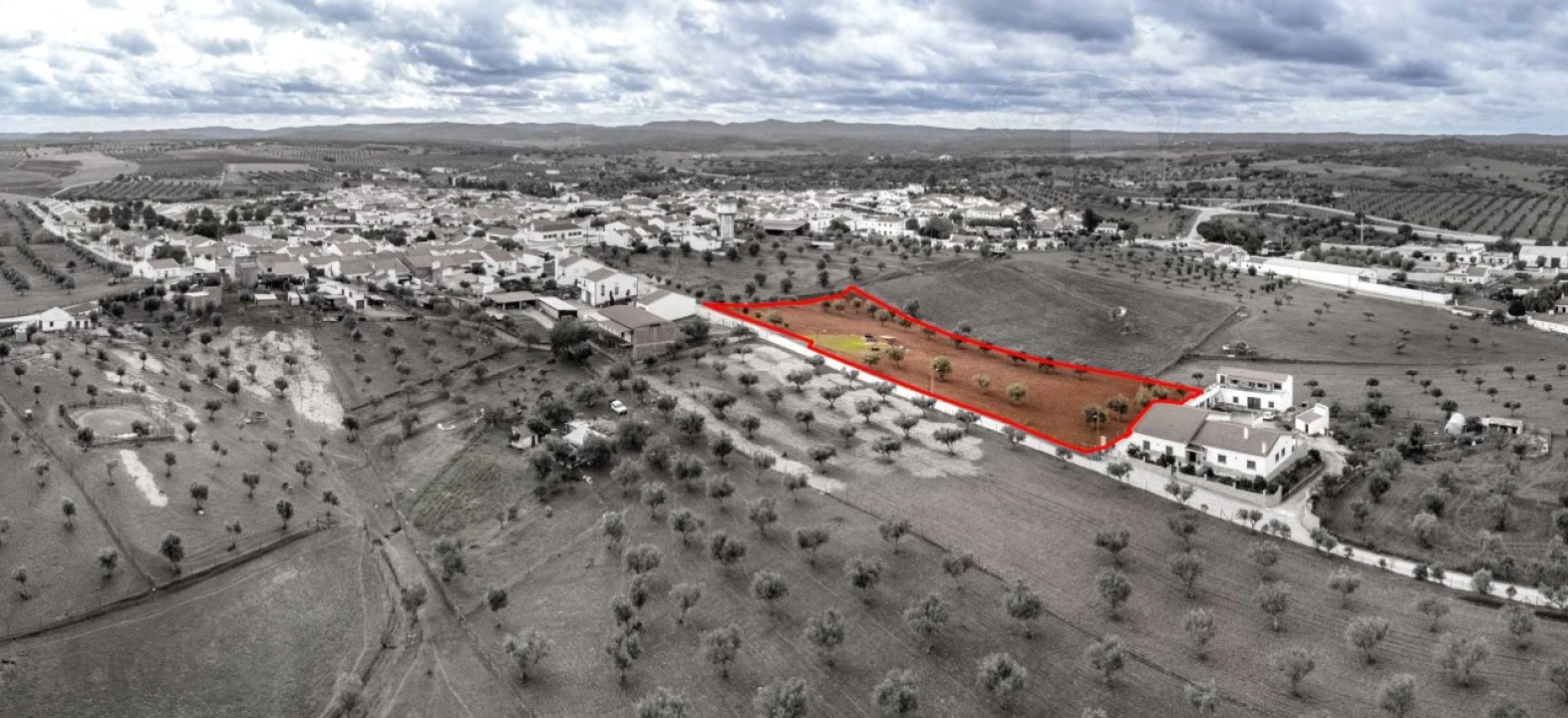 Terreno para Venda em Monte do Trigo Foto 4