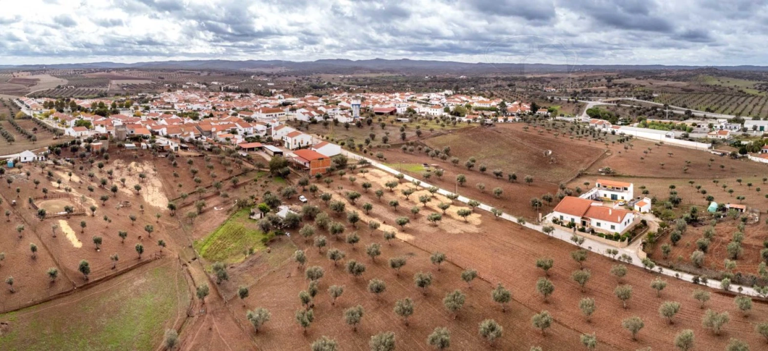 Terreno para Venda em Monte do Trigo Foto 5