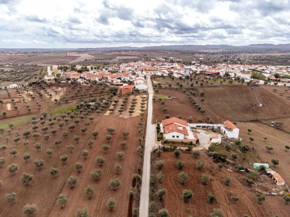 Terreno para Venda em Monte do Trigo Foto 7
