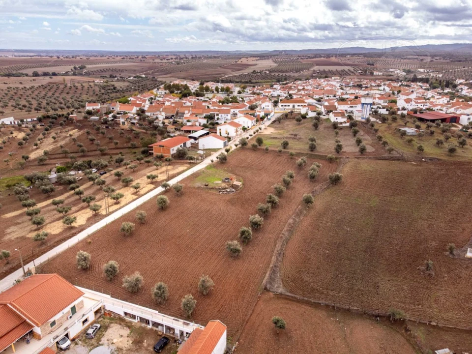 Terreno para Venda em Monte do Trigo Foto 9