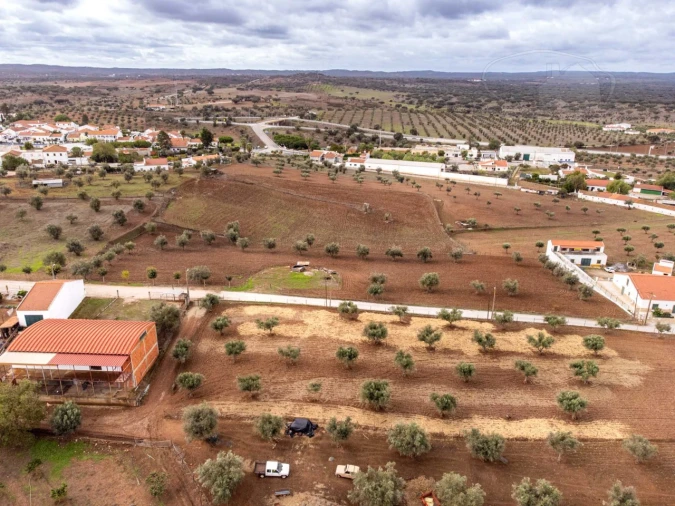 Terreno para Venda em Monte do Trigo Foto 3
