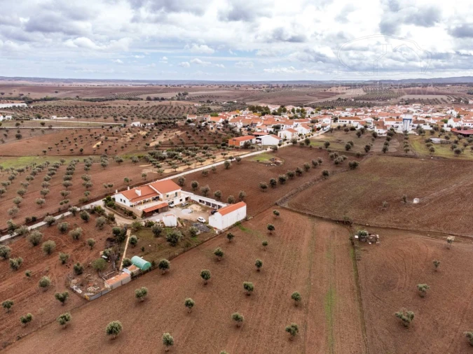 Terreno para Venda em Monte do Trigo Foto 8