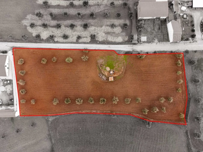 Terreno para Venda em Monte do Trigo Foto 11