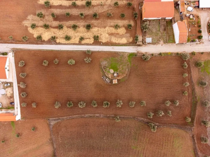 Terreno para Venda em Monte do Trigo Foto 12