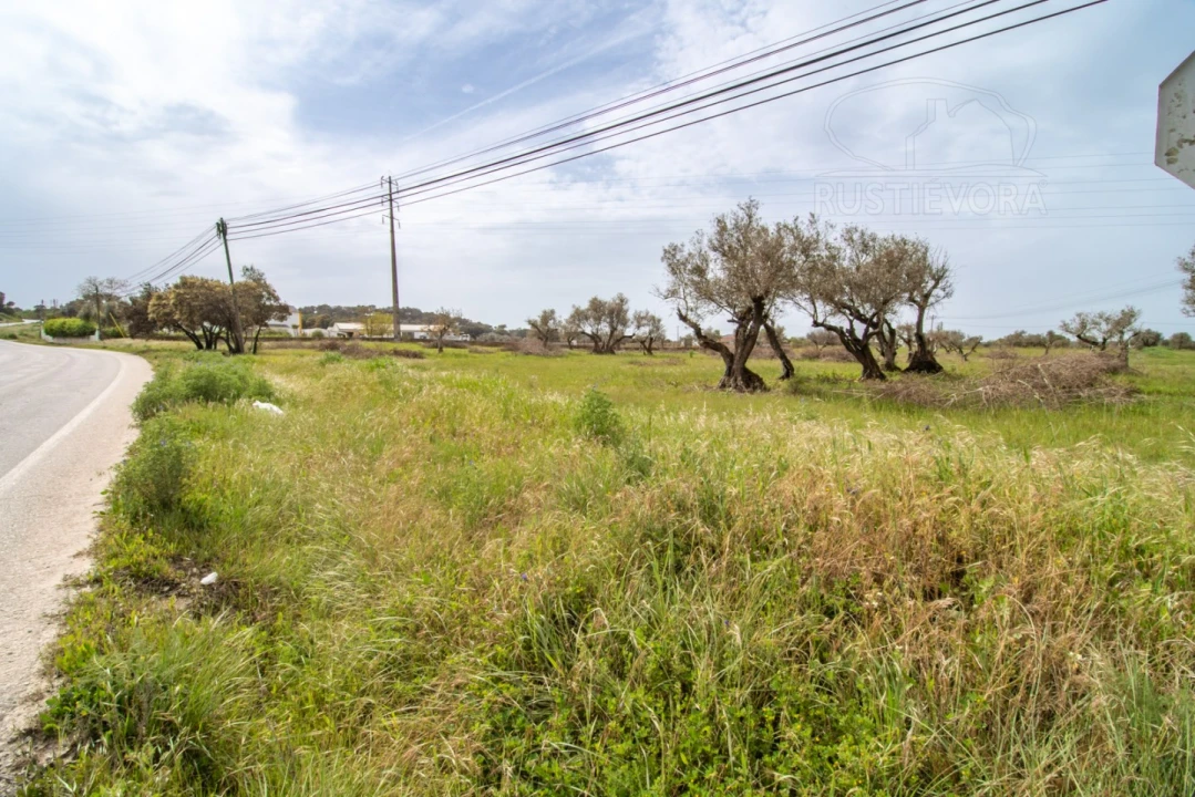 Terreno para Venda em Bacelo e Senhora da Saúde Foto 7