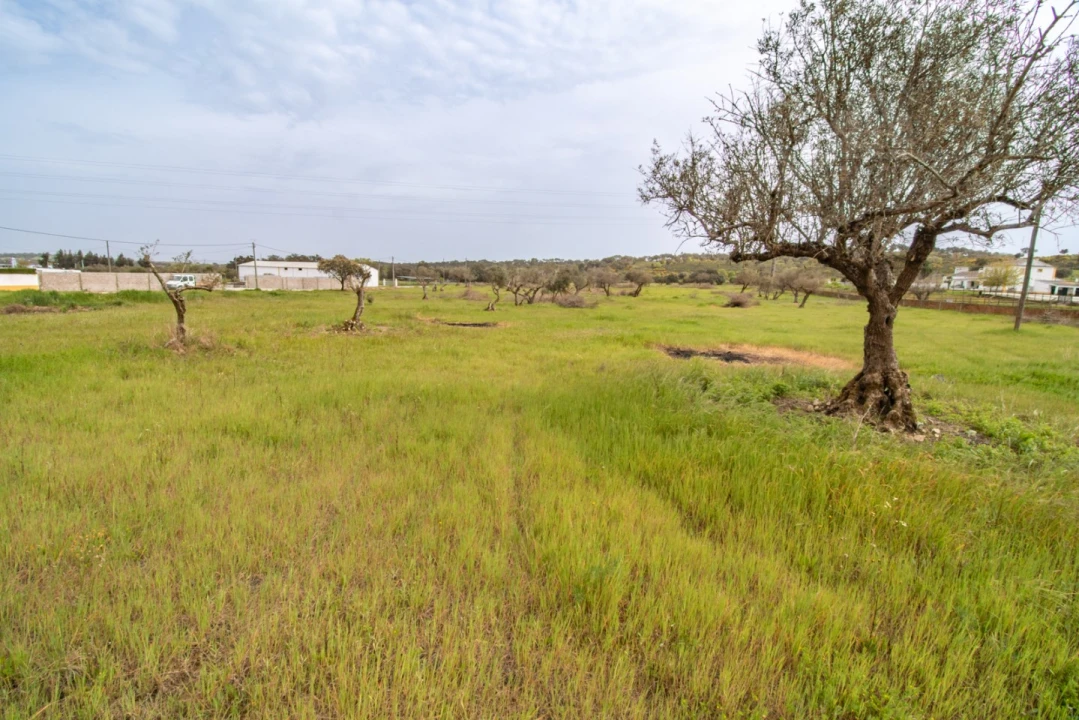 Terreno para Venda em Bacelo e Senhora da Saúde Foto 18