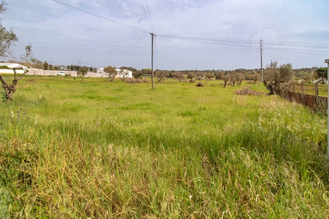 Terreno para Venda em Bacelo e Senhora da Saúde Foto 20