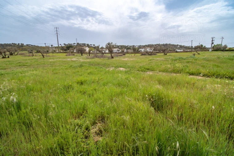 Terreno para Venda em Bacelo e Senhora da Saúde Foto 6