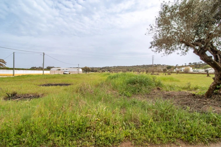 Terreno para Venda em Bacelo e Senhora da Saúde Foto 17