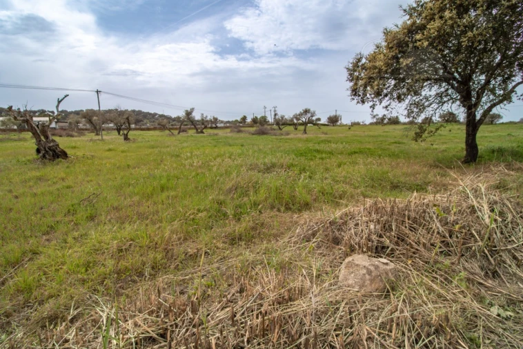 Terreno para Venda em Bacelo e Senhora da Saúde Foto 21