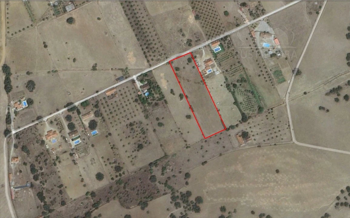 Terreno para Venda em São Miguel de Machede Foto 10