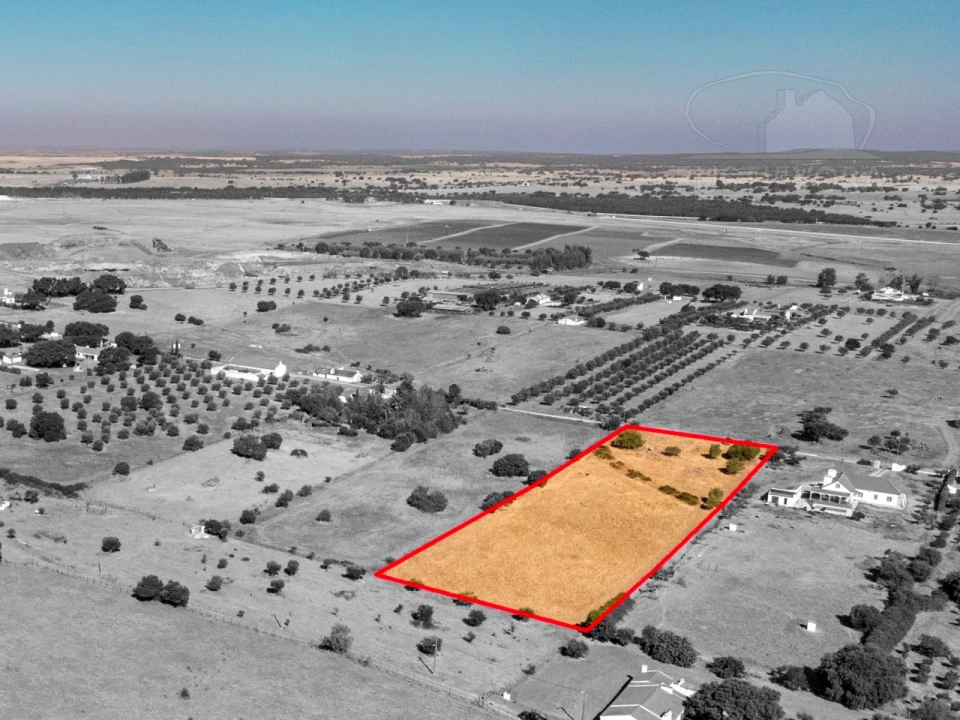 Terreno para Venda em São Miguel de Machede Foto 1