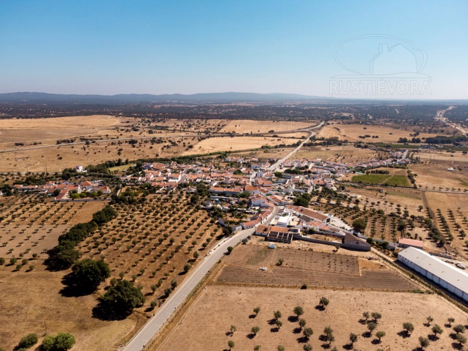 Terreno para Venda em São Miguel de Machede Foto 3
