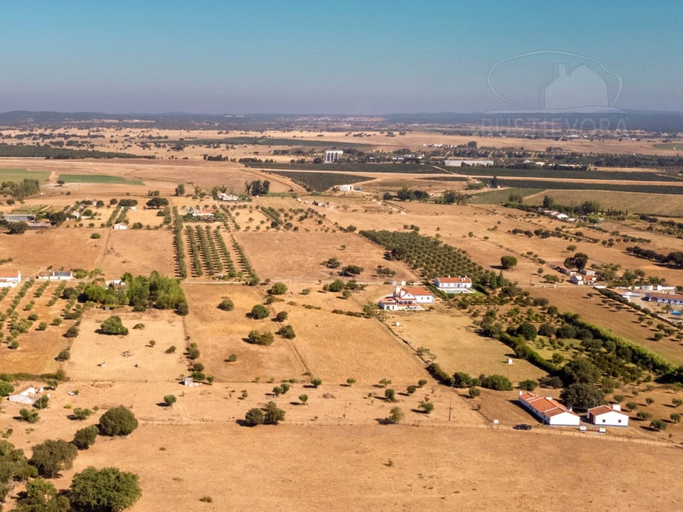 Terreno para Venda em São Miguel de Machede Foto 4
