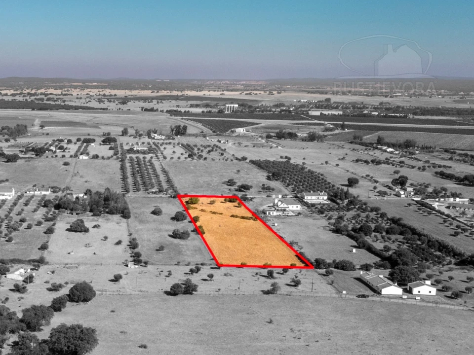 Terreno para Venda em São Miguel de Machede Foto 5