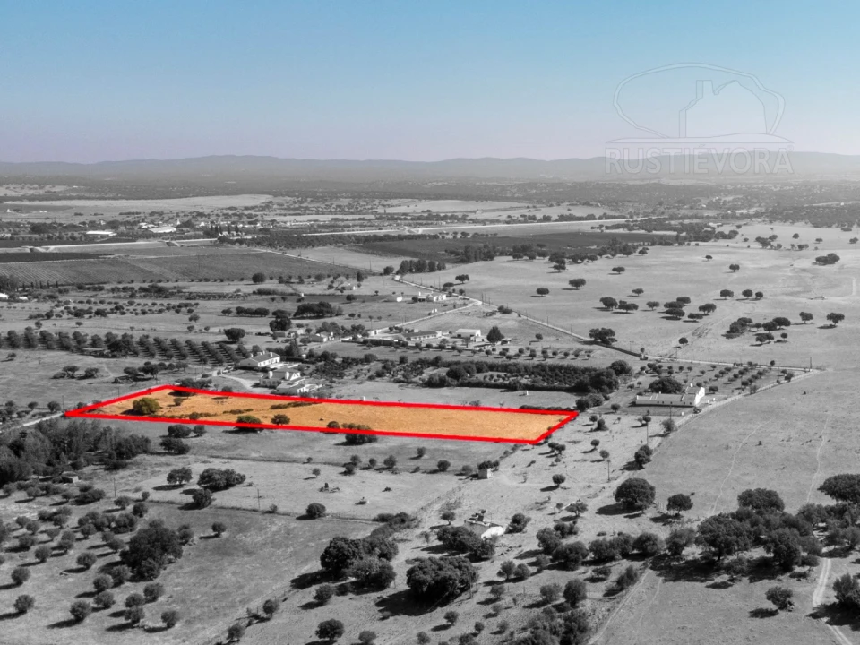 Terreno para Venda em São Miguel de Machede Foto 6