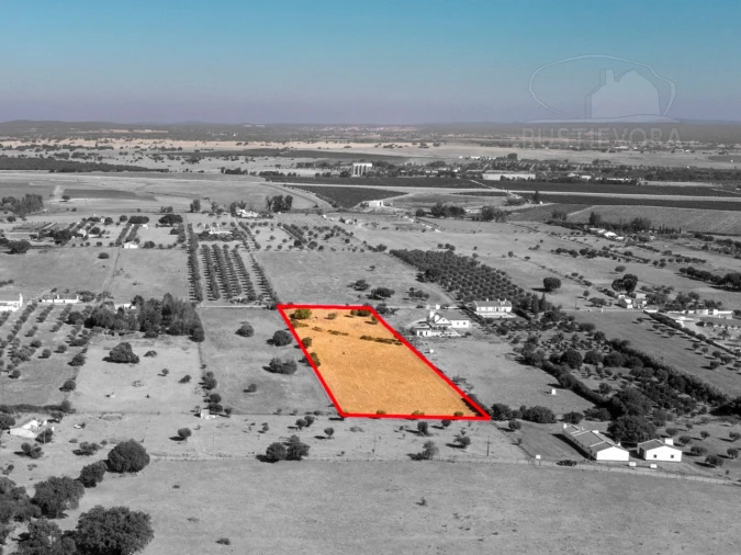 Terreno para Venda em São Miguel de Machede Foto 5