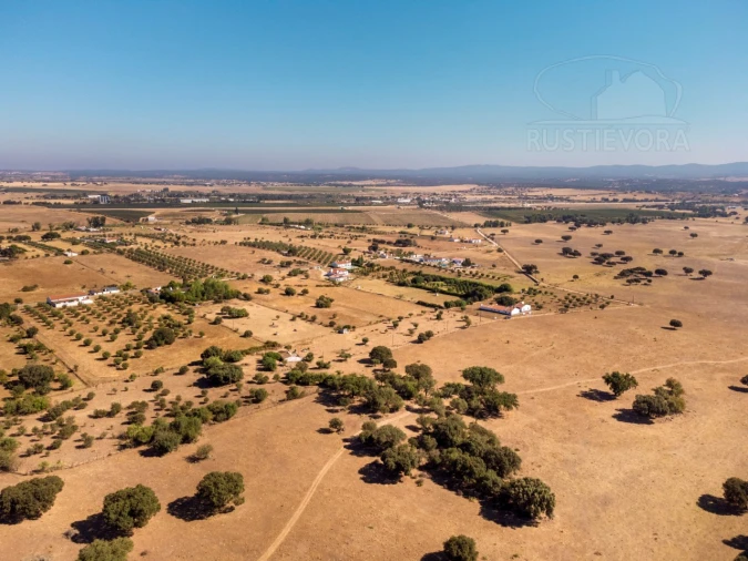 Terreno para Venda em São Miguel de Machede Foto 9