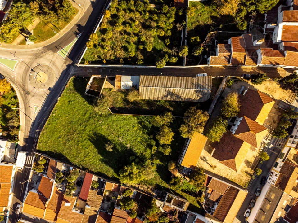 Terreno para Venda em Viana do Alentejo Foto 6