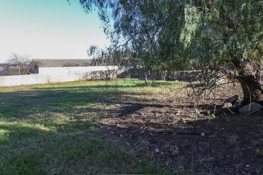 Terreno para Venda em Viana do Alentejo Foto 53