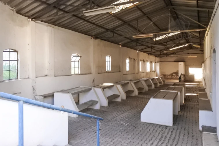 Terreno para Venda em Viana do Alentejo Foto 14