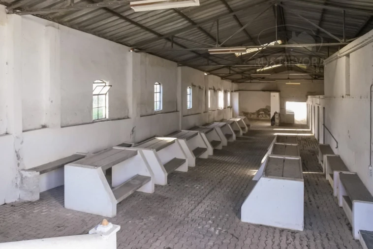 Terreno para Venda em Viana do Alentejo Foto 35