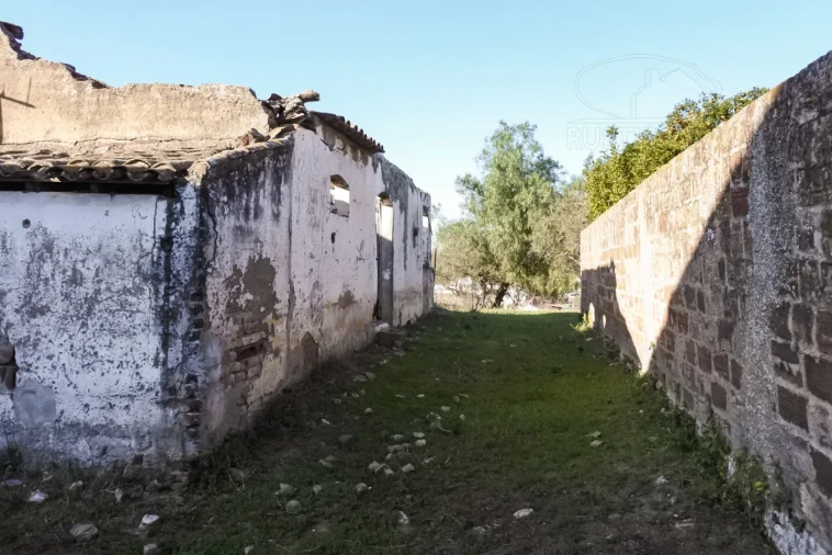 Terreno para Venda em Viana do Alentejo Foto 41