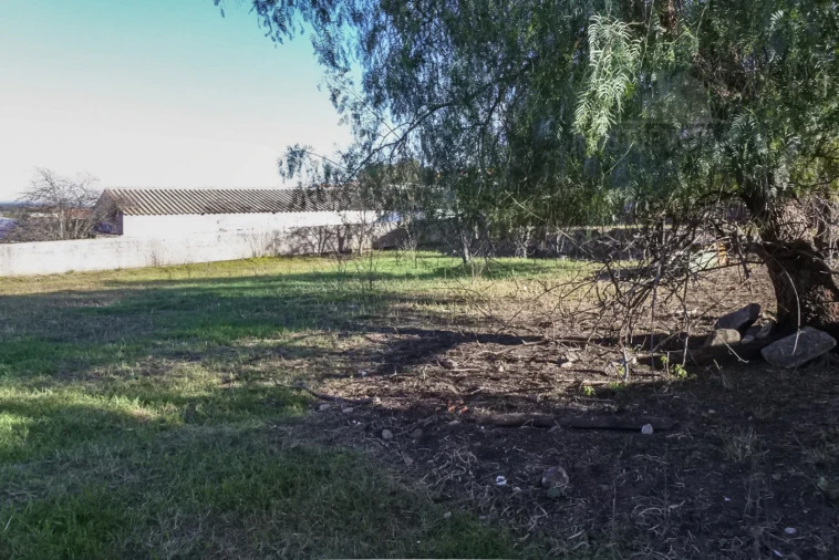 Terreno para Venda em Viana do Alentejo Foto 53