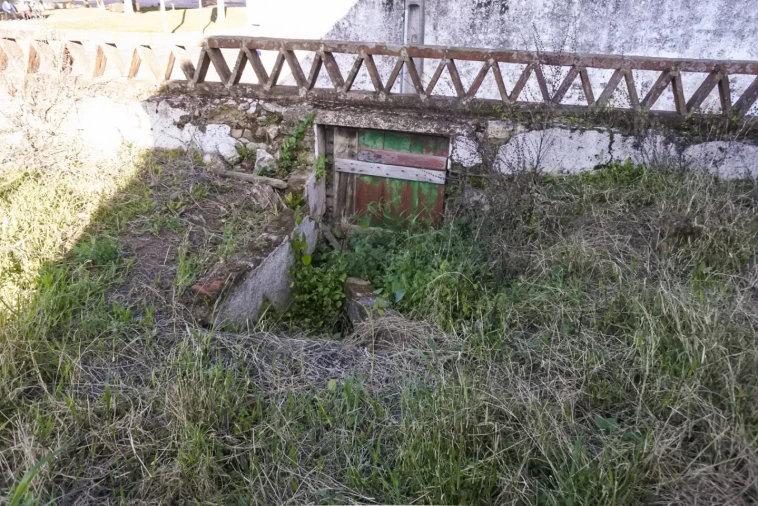 Terreno para Venda em Viana do Alentejo Foto 57