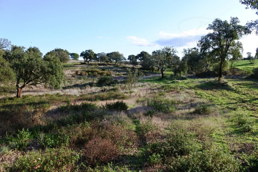 Terreno para Venda em Foros de Vale de Figueira Foto 6