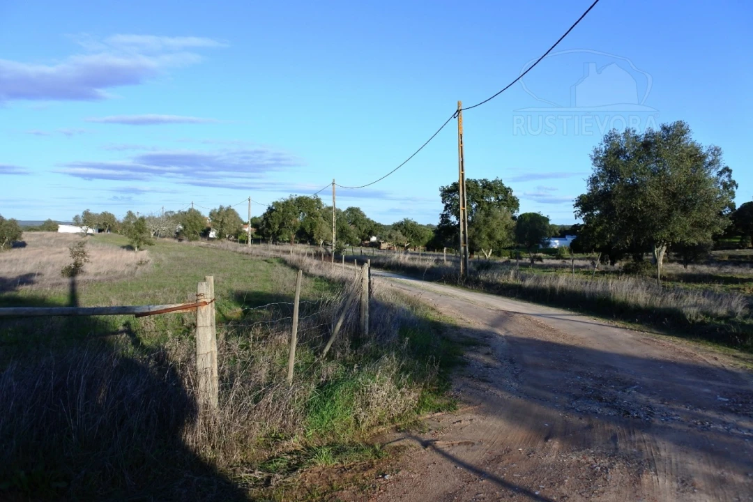 Terreno para Venda em Foros de Vale de Figueira Foto 10