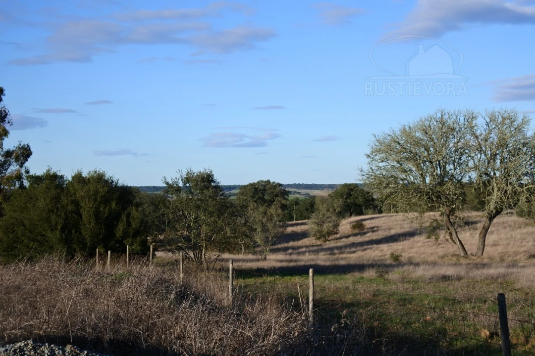 Terreno para Venda em Foros de Vale de Figueira Foto 12