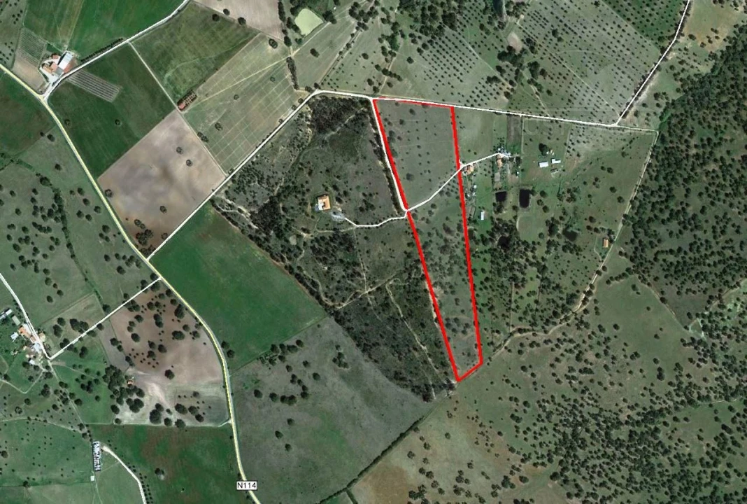 Terreno para Venda em Foros de Vale de Figueira Foto 1