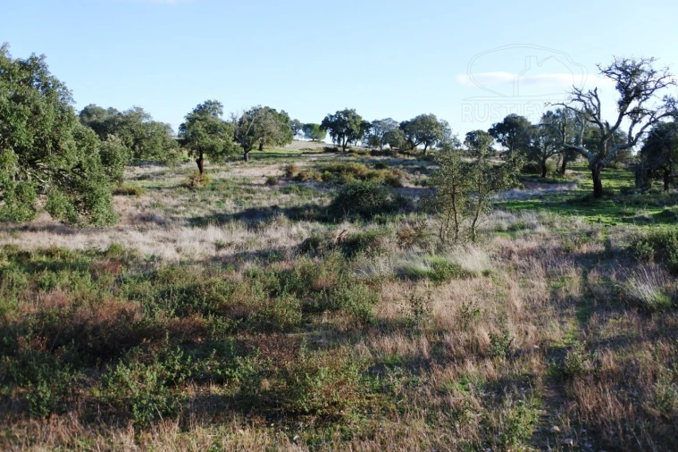 Terreno para Venda em Foros de Vale de Figueira Foto 8