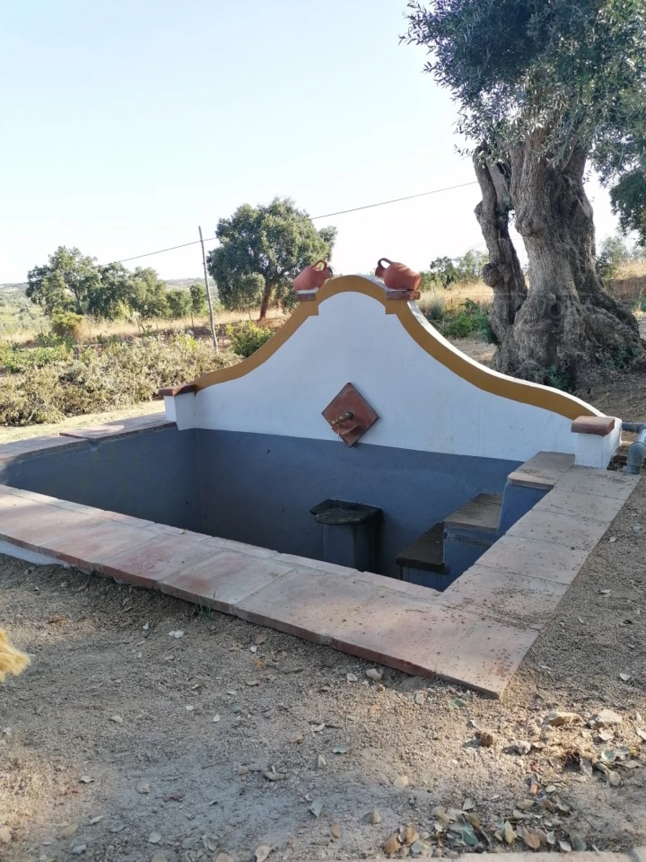 Terreno para Venda em Vila de Frades Foto 12