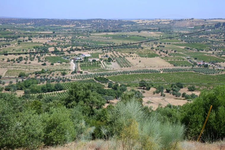 Terreno para Venda em Vila de Frades Foto 2