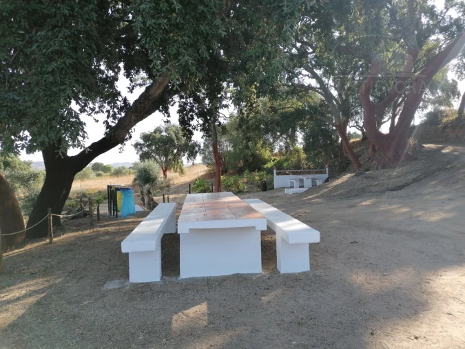 Terreno para Venda em Vila de Frades Foto 10