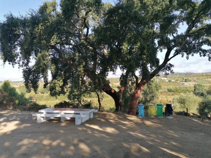 Terreno para Venda em Vila de Frades Foto 11